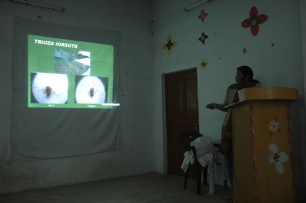 B.S.M. P.G. College Roorkee Infrastructure & Event Gallary photo 4